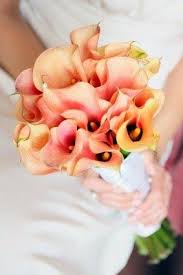 6465 cass city rd, cass city, 48726. List Of Gorgeous Wedding Flowers Calla Lily Wedding Calla Lily Wedding Flowers Lily Wedding