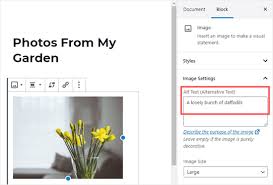 The purpose of the text is to. Image Alt Text Vs Image Title In Wordpress What S The Difference