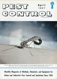 Image result for what do Mallophaga look like in dog fur