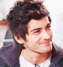 Les meilleurs amis drake zayn malik GIF