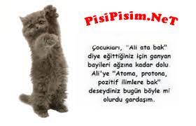 yazili kedi resimleri kedi resim komik