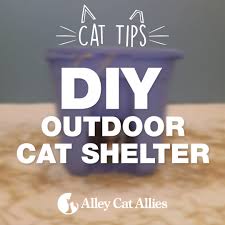 Building a wooden shelter for outside or feral cats. Outdoor Cat Shelter Options Insulated Heated Feral Cat House Ideas