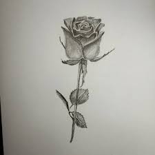 eine rose fur dich وردة لك ورد وردة ازهار ورود رسوماتي رسم رسومات رصاص رسومات رسمات فنان فن ابيض ا dreamcatcher tattoo dream catcher tattoos