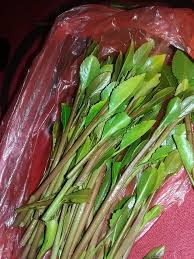 Khat contains the alkaloid cathinone, a stimulant, which is said to cause excitement, loss of appetite, and euphoria. ØµÙˆØ±Ø© Ù…Ù† Ø§Ù„Ø®Ø²Ø§Ù†Ø© Ø­Ù‚ Ø§Ù„ÙŠÙˆÙ… Ø¯Ø±Ø¬Ø© Ø¨Ù† Ø§Ù„Ø´ÙŠØ® Ù„Ø¬Ù…ÙŠØ¹ Ø£Ù†ÙˆØ§Ø¹ Ø§Ù„Ù‚Ø§Øª Facebook