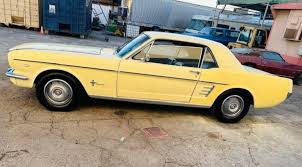 Image result for Sunlight Yellow 1964 Mustang