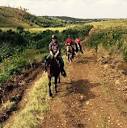TWO FEATHERS HORSE TRAILS – Audio guide by ZUID COURANT | tmatic ...