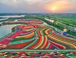 Archaeological ruins of liangzhu city: Sea Of Flowers Designincredible