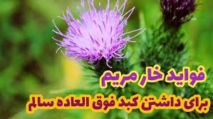 خواص خار مریم برای داشتن کبد فوق العاده سالم - YouTube