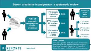 Maybe you would like to learn more about one of these? Serum Creatinine In Pregnancy A Systematic Review Sciencedirect