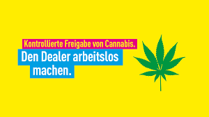 Fdp On Twitter Cannabis Seit Zwei Jahren Konnen Patienten In Cannabis Auf Rezept Bekommen Seither Steigt Die Nachfrage Rasant Wir Wollen Den Kontrollierten Verkauf Von Cannabis In Lizenzierten Geschaften An Erwachsene