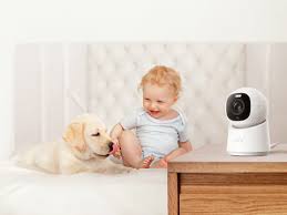Interactive Pet Camera