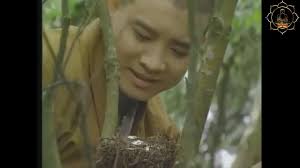 Phim Truyện Phật Giáo Hay Nhất Mọi Thời Đại Tái Thế Tình Duyên Tập 1 Phim  Hay Thuyết Minh