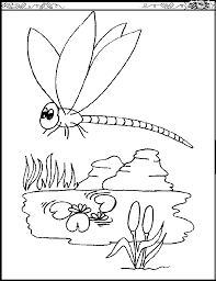 Dragonfly coloring pages for kids to print and color. Dragonfly Coloring Page Animals Town Animal Color Sheets Dragonfly Picture