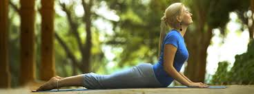 Image result for bhujangasana