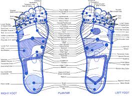 Reflexology Charts Jasonkellyphoto Co