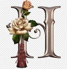 Background patterns in css using pattern.css. Gothic Alphabet Letter N Alphabet Flower Elements Vase Flower Desktop Wallpaper Png Pngwing