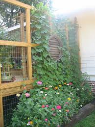 Or will they only provide a green backdrop? Pin On Garden Ideas And Inspirations