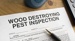 The leading independent home inspectors in melbourne. Building Inspections Melbourne Building Pest Inspections From 319