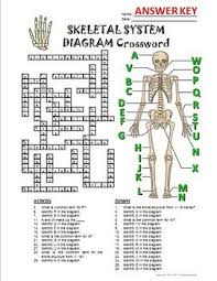 Skeletal System Crossword With Diagram Printable Distance Learning Options Skeletal System Activities Skeletal System Crossword