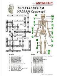 12 photos of the bone anatomy crossword. Skeletal System Crossword With Diagram Editable Skeletal System Activities Skeletal System Crossword