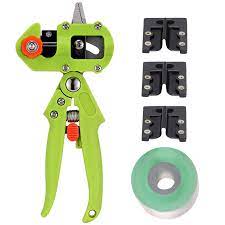 They are reproduced by grafting varying varieties to one another. Naye Grafting Tool For Fruit Trees With Grafting Tape And 3 Blades U Cut V Cut W Cut Green Buy Online In Cayman Islands At Cayman Desertcart Com Productid 121725890