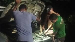 Fundraiser by Virginia MacKay : Safe Wheels for Scout