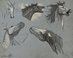 Draw a nostril inside the nostril circle and draw two lines. How To Draw Horses Course The Art Of Aaron Blaise Horse Head Drawing Horse Drawings Horse Anatomy