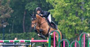 Het 'bronsgoud' van maikel van der vleuten. Maikel Van Der Vleuten Takes Just Next To The Top Prize Of Almost A Ton In Valkenswaard Regional Sports Netherlands News Live