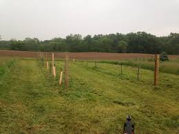 As a garden designer and plant lover, one of my favorite garden elements is the garden trellis. Building A Vineyard Trellis Kick Ass Or Die