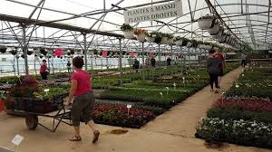 Ouvertures Exceptionnelles Fleurs Portes Ouvertes Esat Agricole Adapei De La Meuse