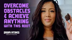 High John the Conqueror Root: A Staple of Hoodoo Magic