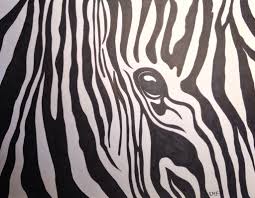 Zebra Sharpie Drawing Art Sharpie Drawing Blackandwhite Design
