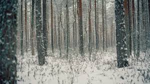 Information and translations of invierno in the most comprehensive dictionary definitions resource on the web. Cuando Empieza El Invierno La Nueva Estacion Llegara Con Menos Frio De Lo Habitual
