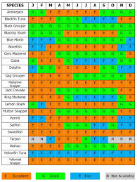 Florida Keys Fishing Chart What To Catch And When