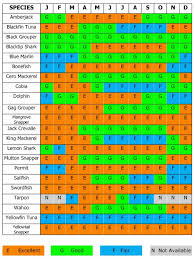 florida keys fishing chart what to catch and when