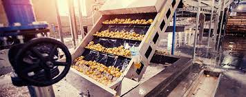This is why our technicians will create food and beverage processing pest management procedures to ensure your business stays protected. Food Processing Facilities Pest Control 4 Hour Emergency Service