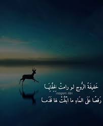 خفيف الروح و الظل arabic poetry arabic quotes picture quotes