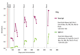 The investigator must determine the ideal. Anti Camelid Secondary Antibodies From Jackson Dianova