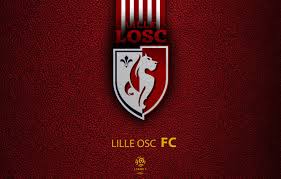 Lille fc png collections download alot of images for lille fc download free with high quality for designers. Lille Osc Wallpapers Wallpapers All Superior Lille Osc Wallpapers Backgrounds Wallpapersplanet Net
