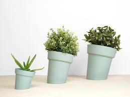 Check spelling or type a new query. 3 Flowerpots Distort Studio Lorier Ceramic Design