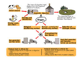 Biogas Plant Manure Fermentation Methane Gas Electric