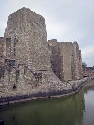 Image result for Pancovia