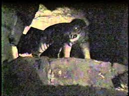 Taking the boat tour on the kazinga channel is a real must when visiting the park. Jungle Cruise 1990 Youtube