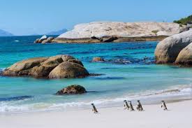 Cape town è la città dove natura e colori affascinano chiunque possa visitarla. Viaggio In Sudafrica La Mini Guida 10 Giorni On The Road