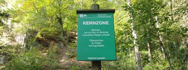 Schauen sie sich 111.426 top sehenswürdigkeiten nahe nationalpark sächsische schweiz, sachsen, deutschland. Nationalpark Sachsische Schweiz Die Natur Bewahren Urlaub Im Nationalpark