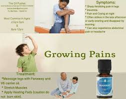 Pin On Aromatherapy