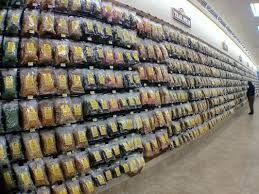 Image result for buc-ee's gas station