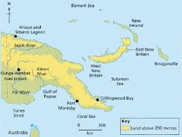 The top layer of vegetation consists of scattered tall trees which tower above a closed canopy layer formed by the crowns of other trees. Tropical Rainforest Sustainable Development Papua New Guinea