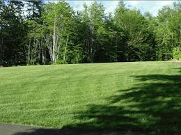 The port of portland has a collection of terminals capable of accepting all forms of cargo including project, containerzied, bulk & break bulk. Get Your Crabgrass Preventor Down Soon Winnipesaukee Forum