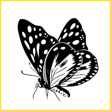 22+ gambar kupu kupu untuk kolase, penting! Sketsa Kupu Kupu Keren Dominasi Hitam Di 2021 Kupu Kupu Sketsa Menggambar Kupu Kupu